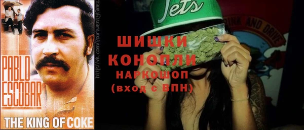 гашик Богородицк