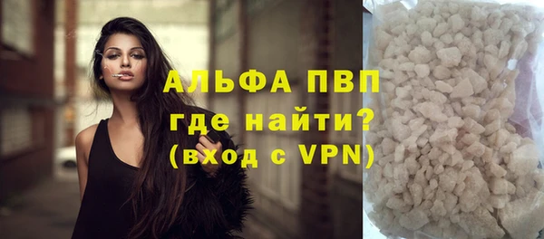стаф Богданович