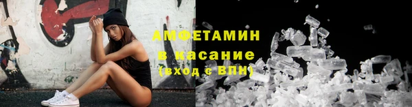 стаф Богданович