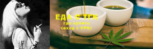 стаф Богданович