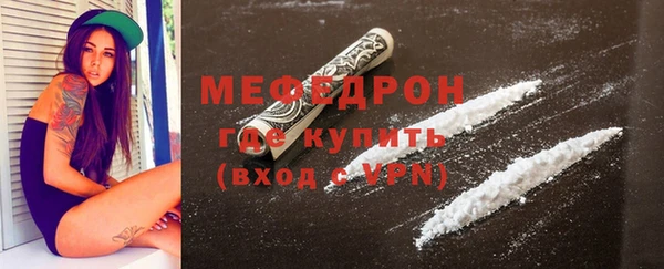 стаф Богданович