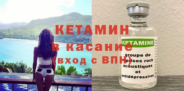 стаф Богданович