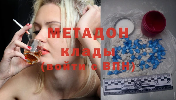 стаф Богданович