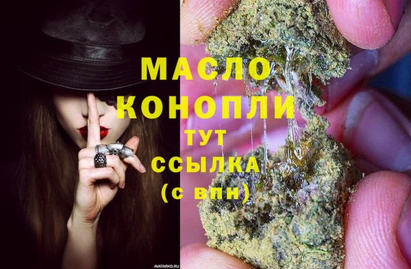 стаф Богданович