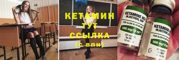 стаф Богданович