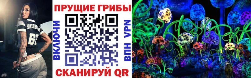 Галлюциногенные грибы Psilocybe  Ульяновск 